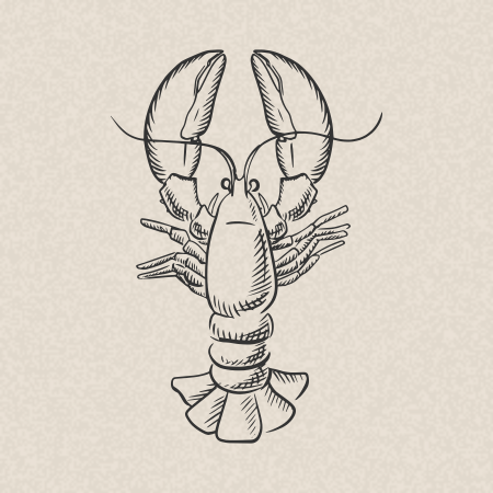 Baby homard Belle-Vue, 3 sauces & garnitures (Menu +10€)